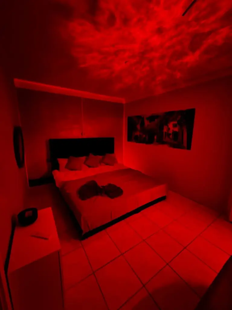 Bordell Bar_in_Augsburg_Red_Roses12