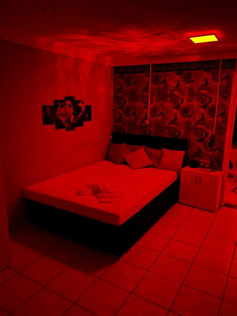 Bordell Bar_in_Augsburg_Red_Roses_11