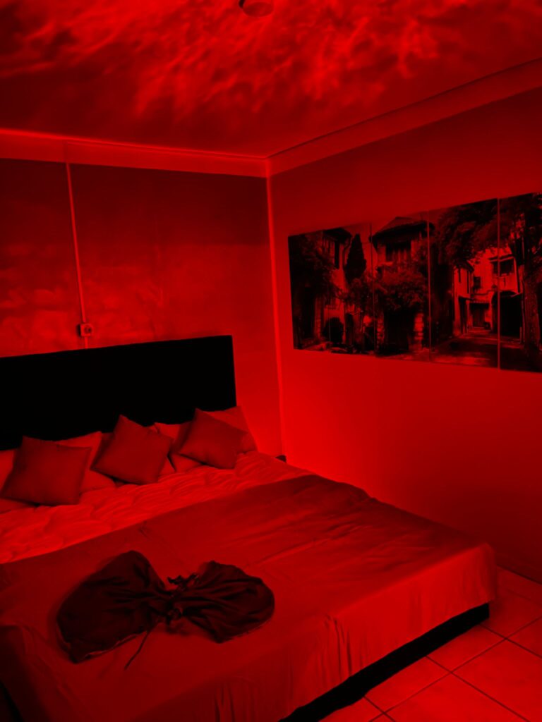 Bordell Bar_in_Augsburg_Red_Roses_3