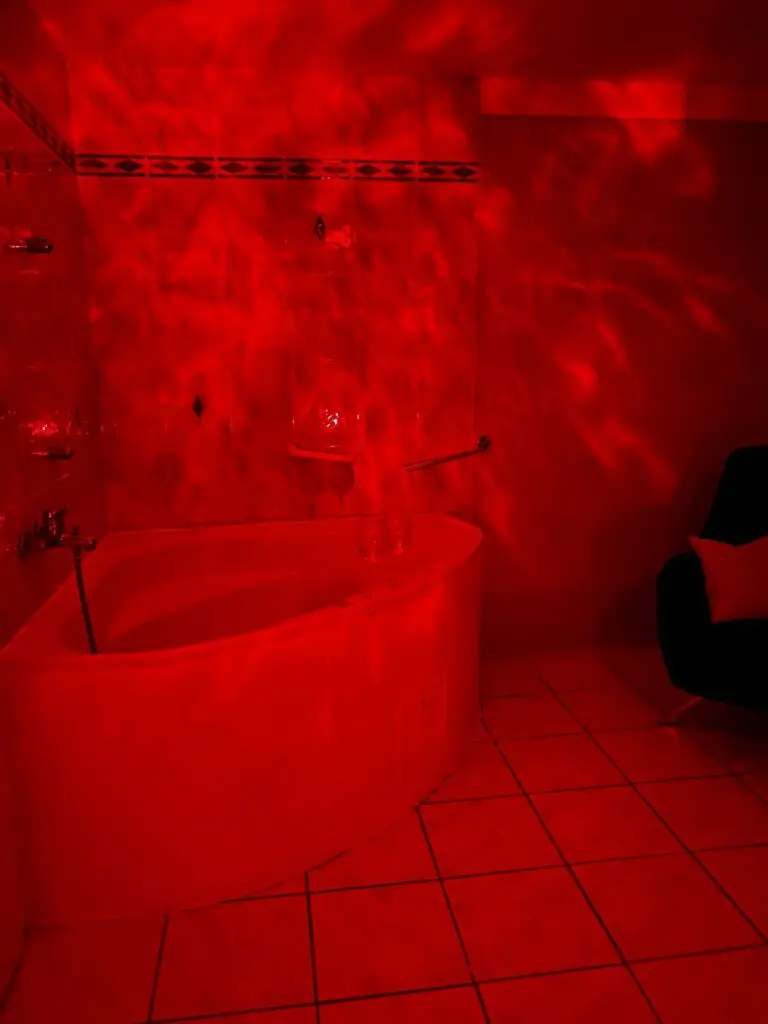 Bordell Bar_in_Augsburg_Red_Roses_6